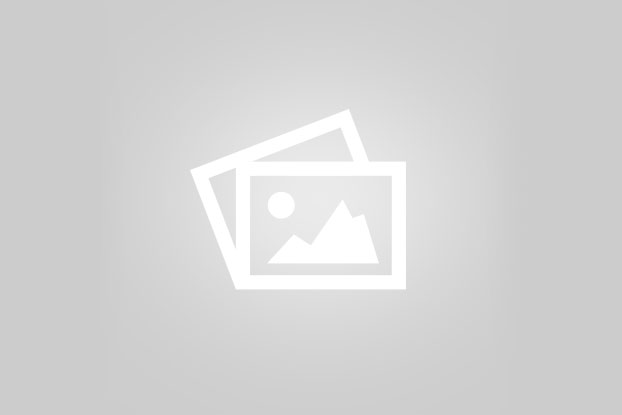 انواع تزئینات خودرو
